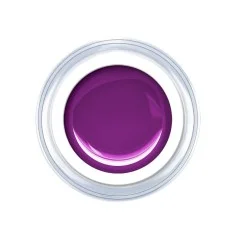 Gel de couleur Pure Grape