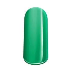 Gel de couleur Salem 2