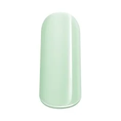 Gel de couleur Candy frostee 2