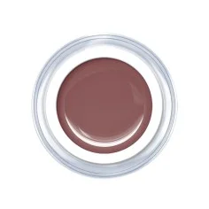 Gel de couleur Pur Beaver