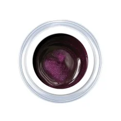Gel de couleur Pearly Dark purple