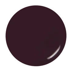 Dark Chestnut 2