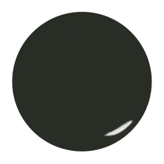 Color gel Army Green 2