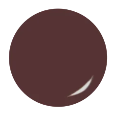 Gel de couleur Walnut 2