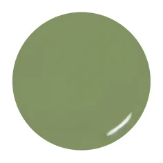 Color gel Olive 2
