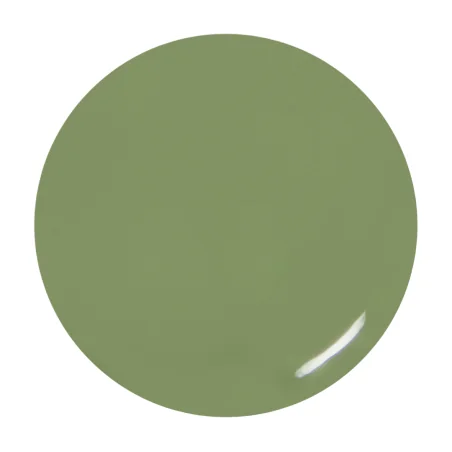 Gel de couleur Olive
