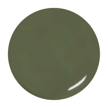 Gel de couleur Olivia