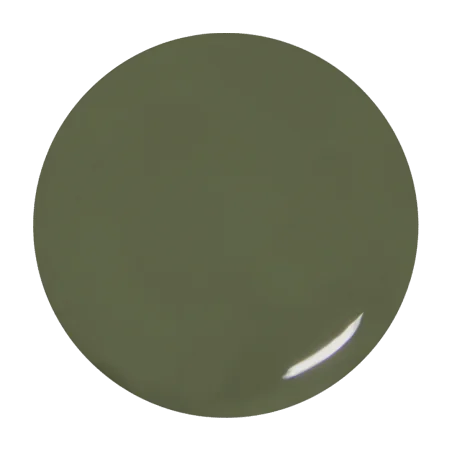 Gel de couleur Olivia