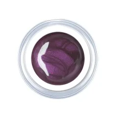 Gel de couleur Wine Berry