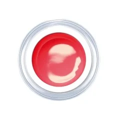 Gel de couleur Pomegranate